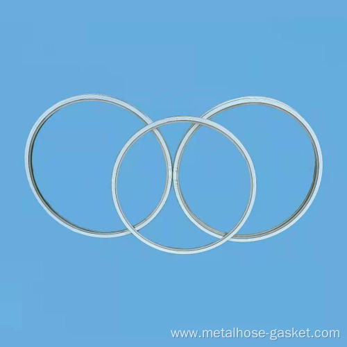 ASMEB16 20 Metal Gasket with Inner Ring PTFE